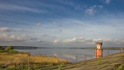 В рыбе из Старооскольского водохранилища обнаружены паразиты