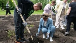 Сад роз высадили в парке «Русский лес» в Белгородском округе