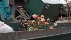 Белгородская область заняла третье место в Черноземье по объёму мусора на одного жителя в 2024 году