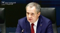 Белгородские власти проанализируют эффективность работы с инвесторами 