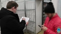 Более 10 иностранцев выдворены из РФ после рейда в Белгородской области 