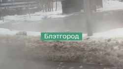 Улицу Щорса в Белгороде залило горячей водой из-за порыва 