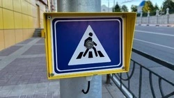 Несовершеннолетняя девушка попала под колёса автомобиля в Белгородском округе