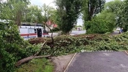 Более десяти машин повреждены из-за сильного ветра и ливня в Белгороде