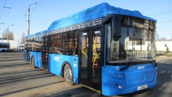 Белгородцы пожаловались на заполненные автобусы 