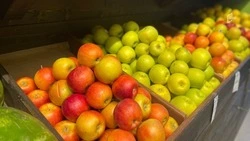 Экспорт белгородской сельхозпродукции вырос на 67% с начала 2026 года