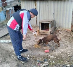 Волонтёры и бойцы самообороны кормят домашний скот и питомцев жителей отселённых краснояружских сёл