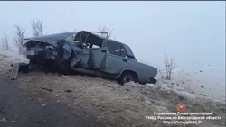 Водитель и пешеход погибли в авариях в Белгородской области в четверг