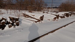 Несанкционированную свалку железнодорожных шпал обнаружили в Белгородской области