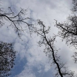 В Белгороде в воскресенье будет тепло и облачно