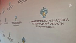 Белгородцы отсудили более 23 млн рублей по искам о нарушении прав потребителей в 2025 году 