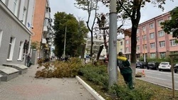 Более 245 тысяч общественных территорий приведут в порядок в Белгородской области