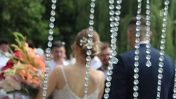 Почти 300 пар сыграют свадьбу в Белгородской области в красивую июньскую дату 