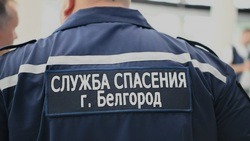 Свыше полумиллиона раз позвонили жители Белгорода в службу «112»