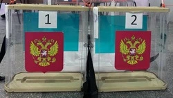 Белгородцы смогут голосовать на придомовых территориях на предстоящих выборах 