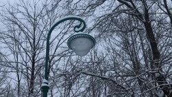 Облачная погода с небольшой оттепелью ожидается в Белгородской области в субботу 