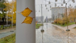 Белгородские синоптики прогнозируют штормовой ветер в субботу 