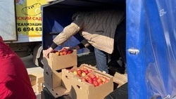 Торговля с колёс: что изменится для белгородских предпринимателей с 1 сентября