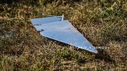 Средства ПВО уничтожили 29 беспилотников ВСУ над Белгородской областью в период с 08:00 до 11:00