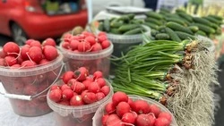 Ещё два новых торговых павильона появятся в Белгороде на автобусных остановках