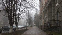 Морозная ветреная погода ждёт белгородцев на предстоящих выходных