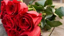 Мэрия Белгорода направит около 2,4 млн рублей на закупку букетов в 2026 году