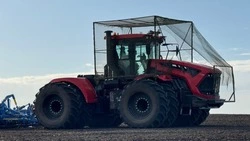 Белгородские власти помогут аграриям купить качественные семена в случае форс-мажора с погодой 