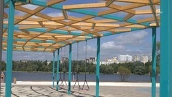 Жара до 37 градусов ожидается в Белгородской области с 9 по 13 июля