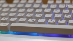 Совещание белгородского правительства прервалось из-за DDoS-атаки