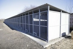 Вячеслав Гладков встретится с зоозащитниками после случая с бездомной собакой в Яковлевском округе