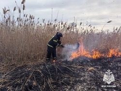 Гидрометцентр рассказал об угрозе лесных пожаров в Белгородской области из-за жаркого лета