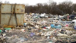 В Белгородской области подсчитали, сколько пластиковых крышек выбрасывают жители