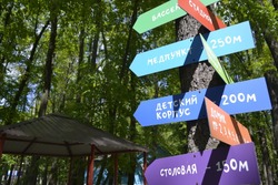 Почти 90 лагерей в Белгороде могут открыть для детей в летний сезон