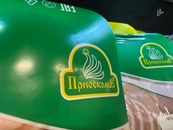 Гладков обсудил с Александром Ткачёвым развитие белгородской ГК «Приосколье»