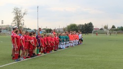 Футбольное поле обновят в белгородском Старом Осколе по программе УЕФА