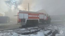 Четверо белгородцев едва не стали жертвами пожара в Белгороде