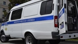 Новосибирцу грозит до 20 лет колонии за подготовку теракта у здания полиции в белгородском Строителе