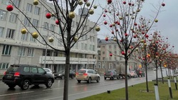 МЧС предупреждает белгородцев о возможной гололедице в среду  