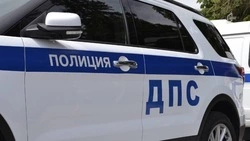 Белгородские правоохранители раскрыли организованную украинцами схему мошенничества со страховками