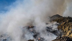 Количество несанкционированных свалок сократилось в Белгородской области за 2023 год