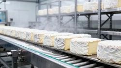 Маслосырзавод строят в Новооскольском округе