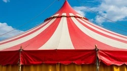 «Шапито — это временное»: Вячеслав Гладков рассказал о появлении цирка в Белгороде