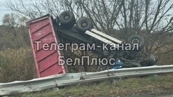 Грузовик слетел в кювет и опрокинулся под Белгородом 