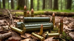 59-летнему белгородцу грозит до трёх лет колонии за найденные в лесу патроны времён ВОВ