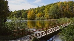 Завершение благоустройства парка Маршалково под Белгородом обойдётся в 33 млн рублей