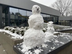    Айда лепить!: 10 января в Белгороде пройдёт конкурс снеговиков 