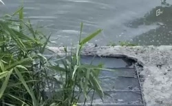 «Белоблводоканал» разъяснил свою позицию, кто виноват в сбросе сточных вод в Везёлку в Белгороде 