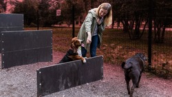 От 450 тысяч до 6,5 млн: сколько потратили на обустройство площадок для собак в Белгородской области
