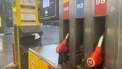 Цены на бензин в Белгородской области начнут контролировать Минэнерго и ФАС