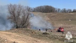 В Белгородской области за сутки ликвидировали два ландшафтных пожара 